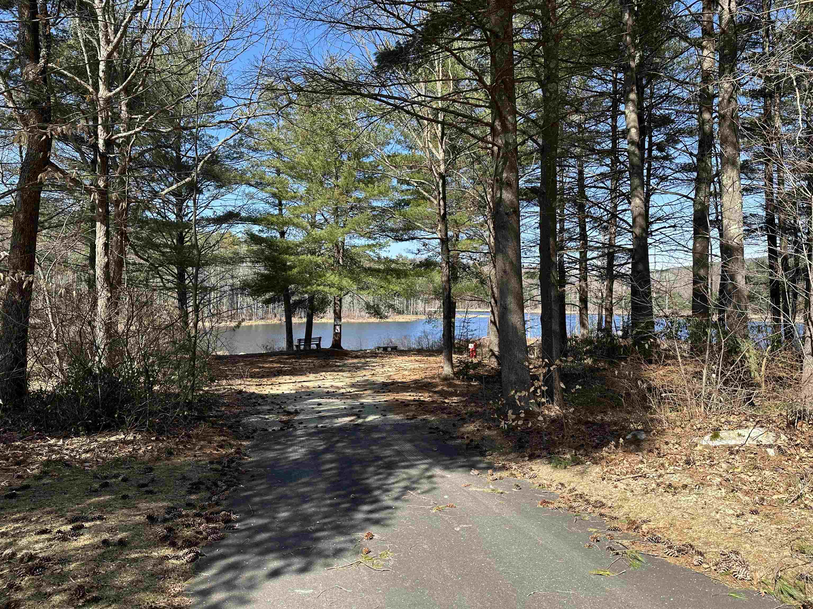 274 Pulpit Road Bedford, NH 03110 - Photo 9 of 34