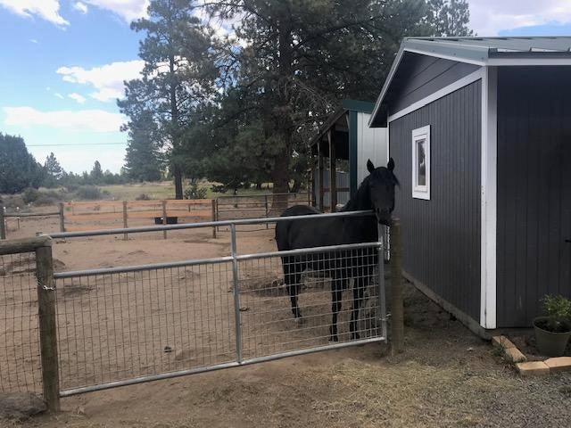 21385 Back Alley Road Bend, OR 97702 - Photo 21 of 23 IMG_2655