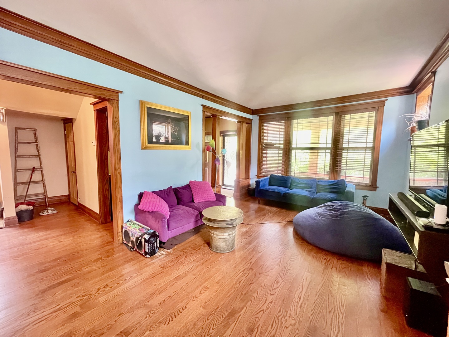 7916 South Constance Avenue Chicago, IL 60617 - Photo 5 of 28 a living room with furniture and wooden floor