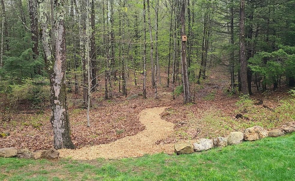4 Wild Turkey Road Deerfield, NH 03037 - Photo 21 of 60 Gallery Image 21