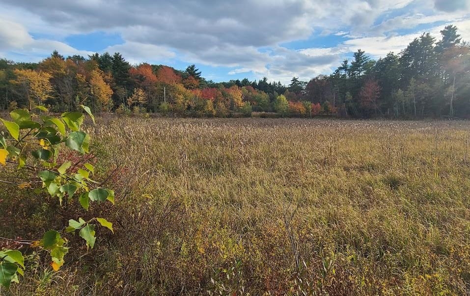 4 Wild Turkey Road Deerfield, NH 03037 - Photo 28 of 65