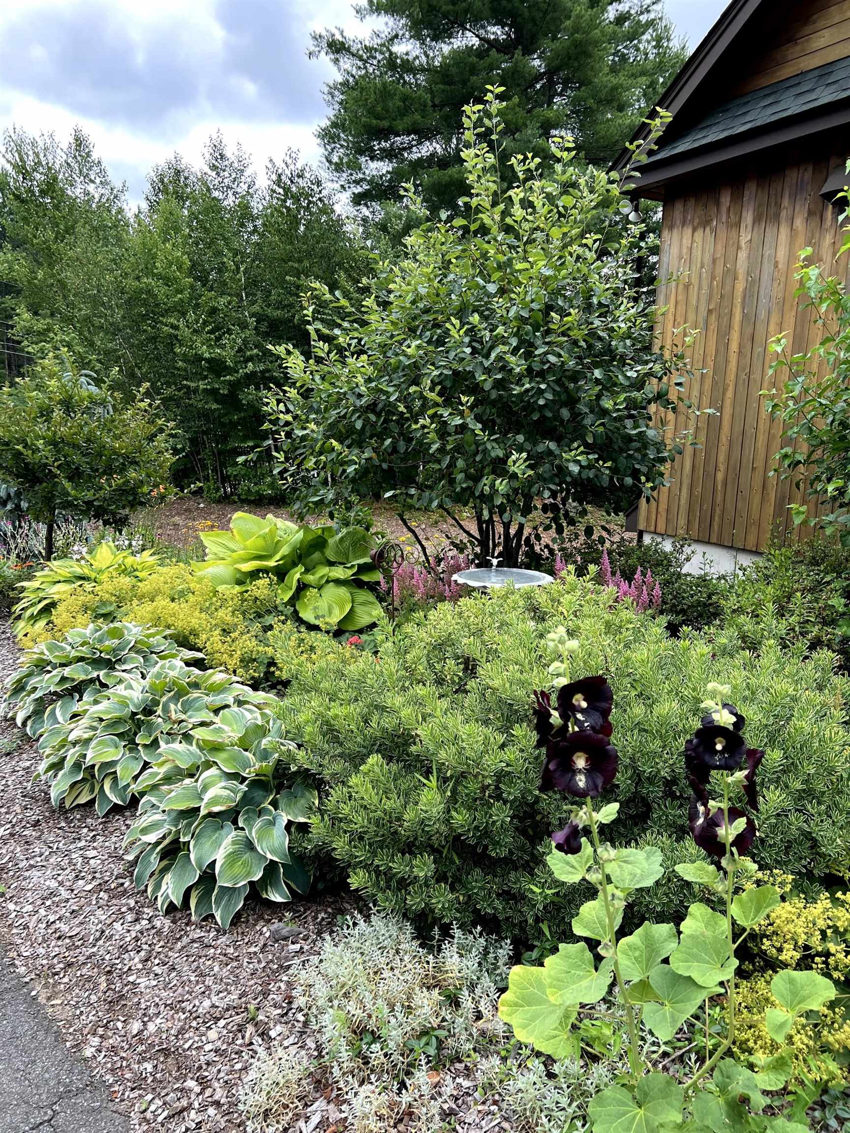 4 Wild Turkey Road Deerfield, NH 03037 - Photo 60 of 65