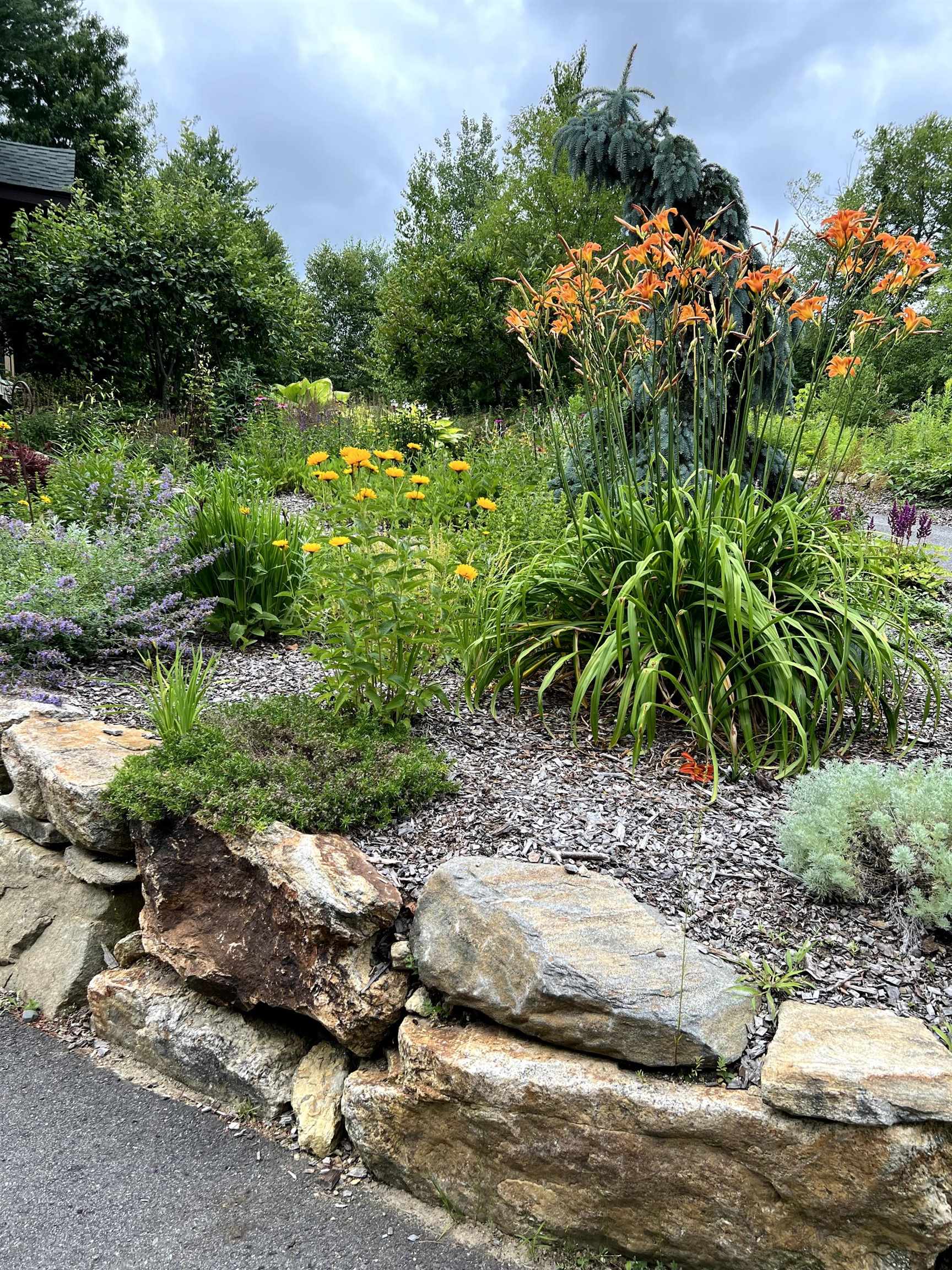 4 Wild Turkey Road Deerfield, NH 03037 - Photo 63 of 65