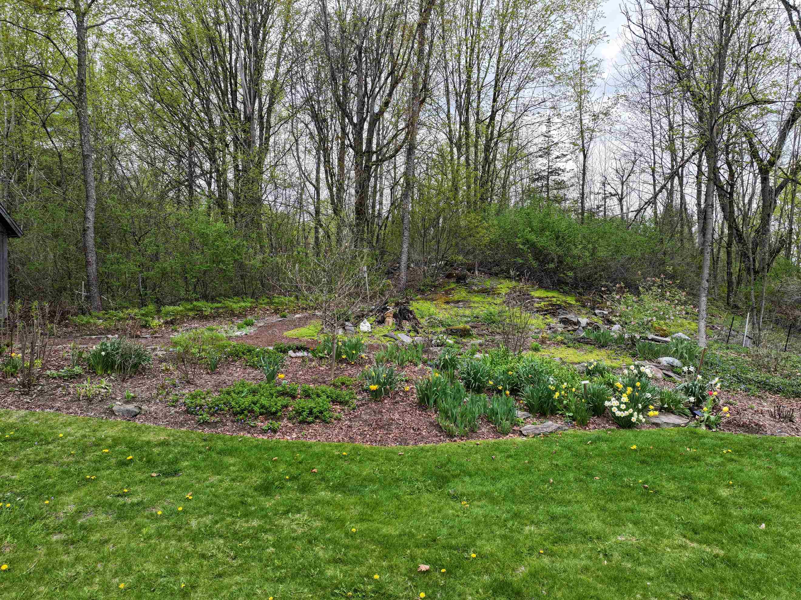525 Columbus Smith Road Salisbury, VT 05769 - Photo 36 of 37
