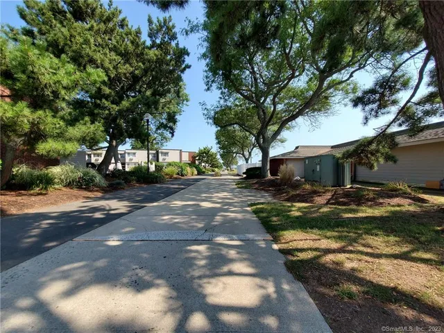 a view of a street with a large tree