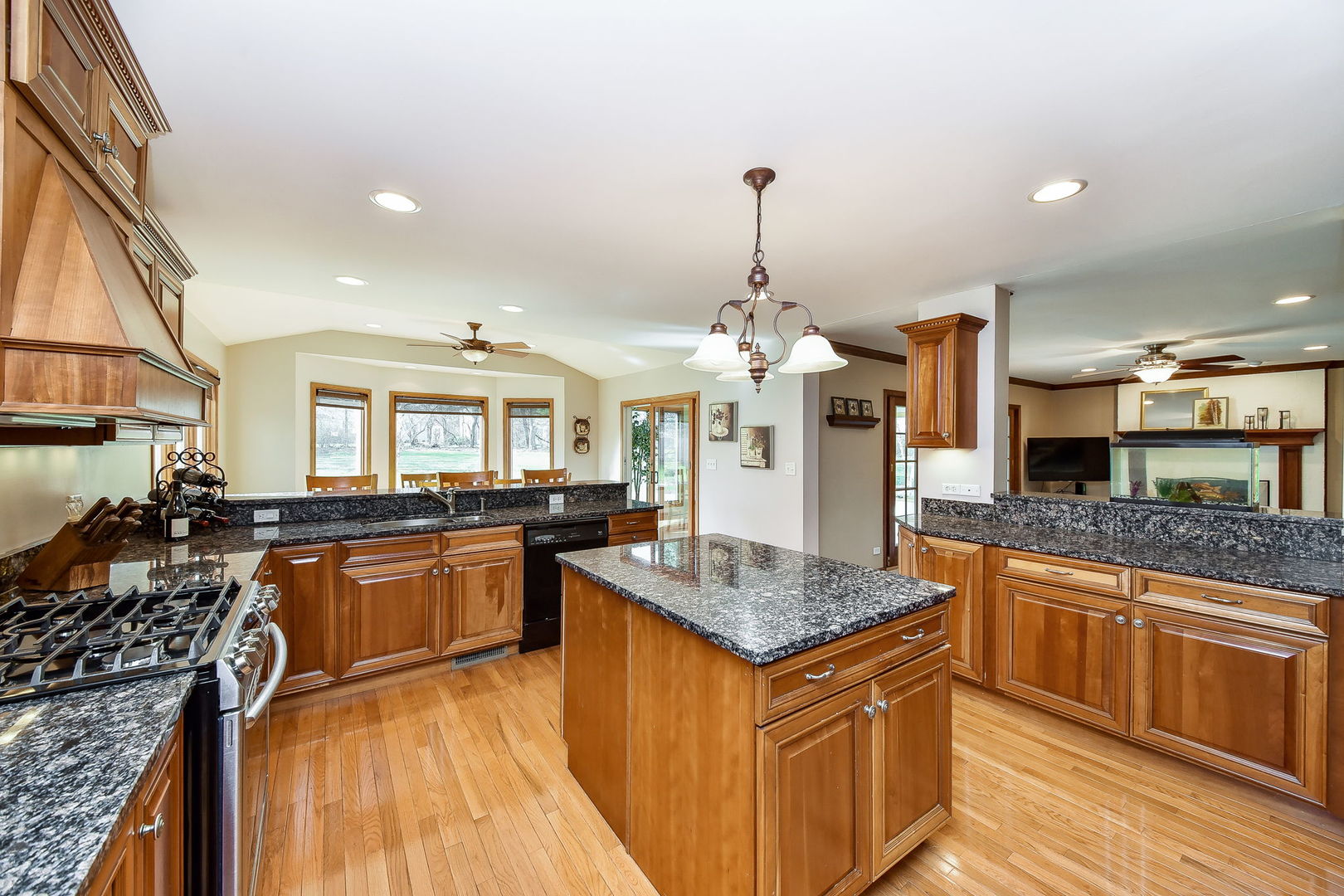 25W661 Durfee Road Wheaton, IL 60189 - Photo 9 of 33