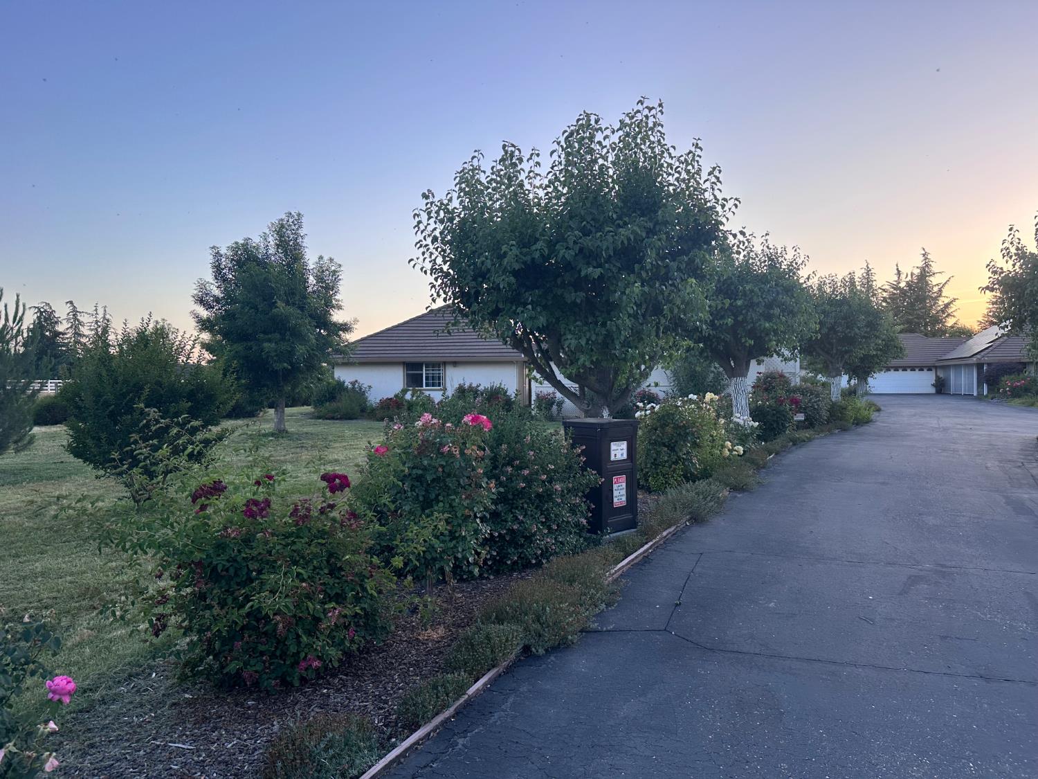 7124 Ospital Road Valley Springs, CA 95252 - Photo 6 of 37 a front view of a house with a yard and a tree