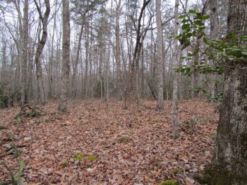 Lot 6 East Overlook Road Monterey, TN 38574 - Photo 1 of 16 IMG_0640