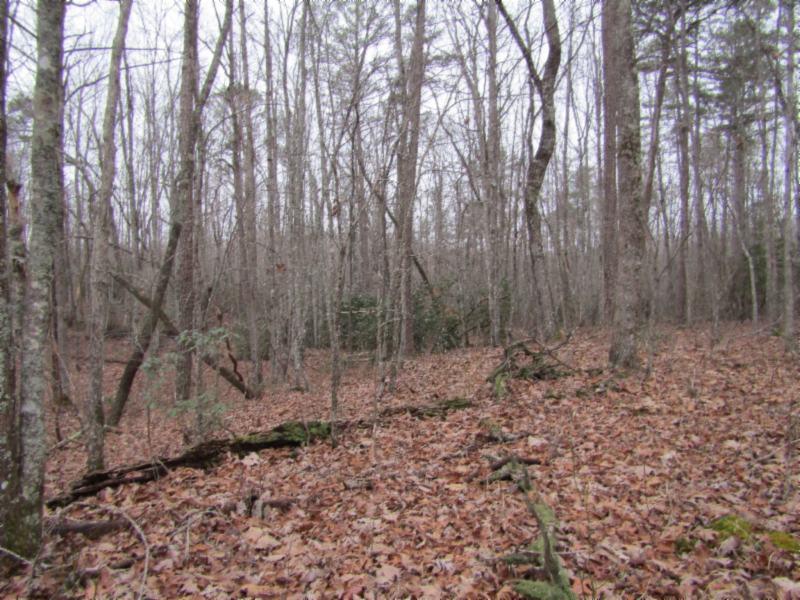 Lot 6 East Overlook Road Monterey, TN 38574 - Photo 11 of 16 IMG_0642