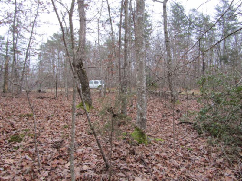 Lot 6 East Overlook Road Monterey, TN 38574 - Photo 12 of 16 IMG_0643