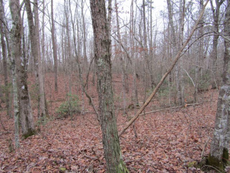 Lot 6 East Overlook Road Monterey, TN 38574 - Photo 3 of 16 IMG_0633