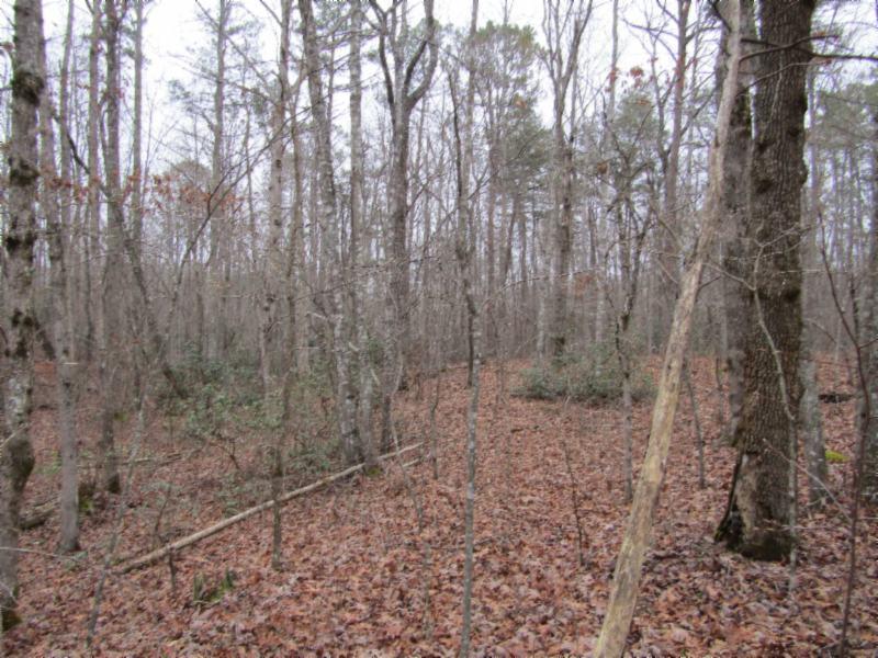 Lot 6 East Overlook Road Monterey, TN 38574 - Photo 4 of 16 IMG_0634