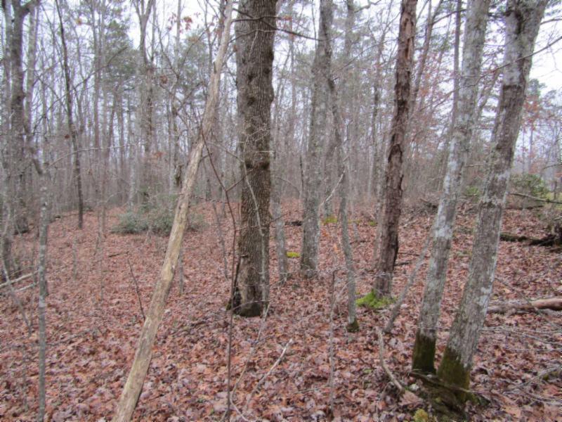 Lot 6 East Overlook Road Monterey, TN 38574 - Photo 5 of 16 IMG_0635