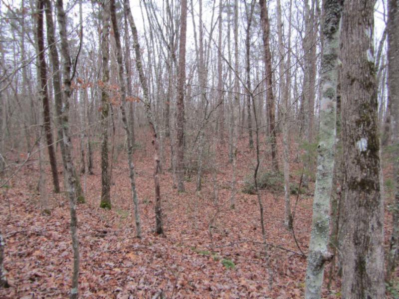 Lot 6 East Overlook Road Monterey, TN 38574 - Photo 6 of 16 IMG_0636