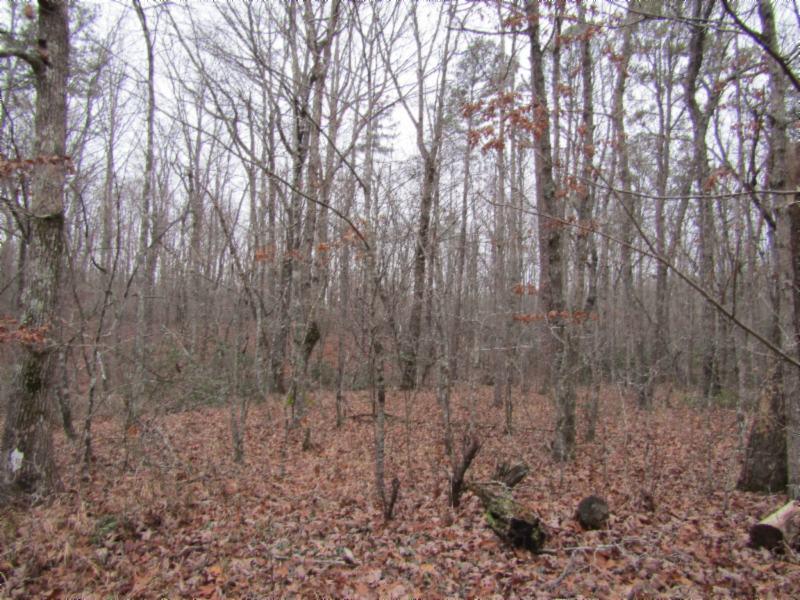 Lot 6 East Overlook Road Monterey, TN 38574 - Photo 7 of 16 IMG_0637