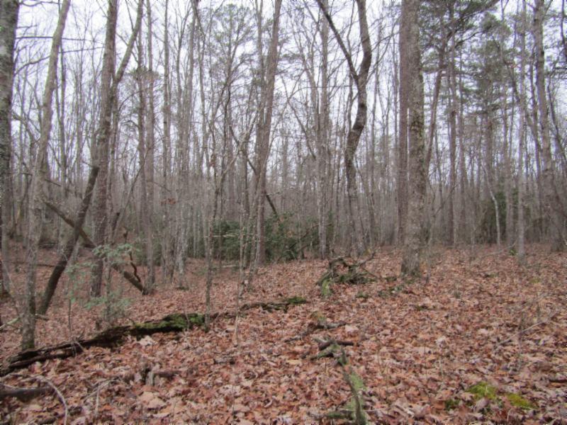 Lot 6 East Overlook Road Monterey, TN 38574 - Photo 9 of 16 IMG_0639