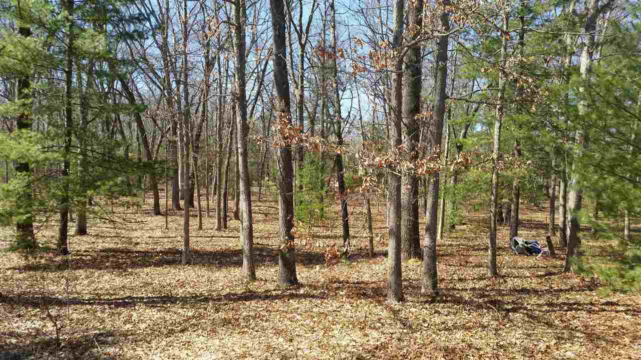 7100 East Wever Road Fountain, MI 49410 - Photo 27 of 27 1795548-26.JPG