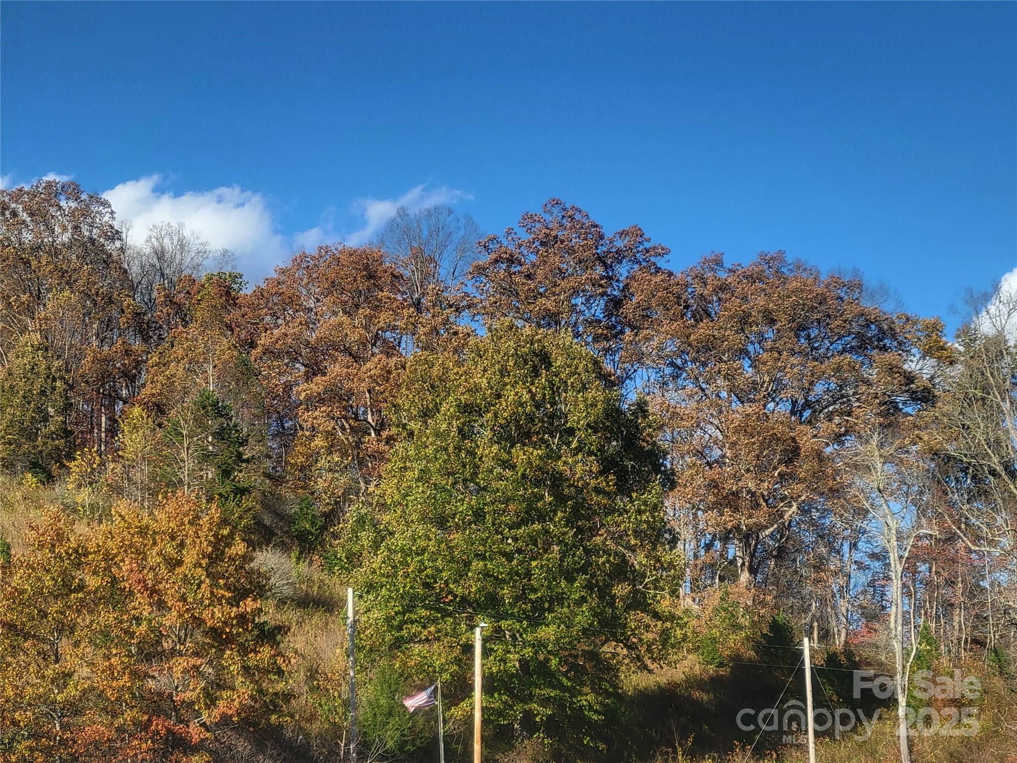 0 Kirkpatrick Cove Clyde, NC 28721 - Photo 11 of 14 a view of a building