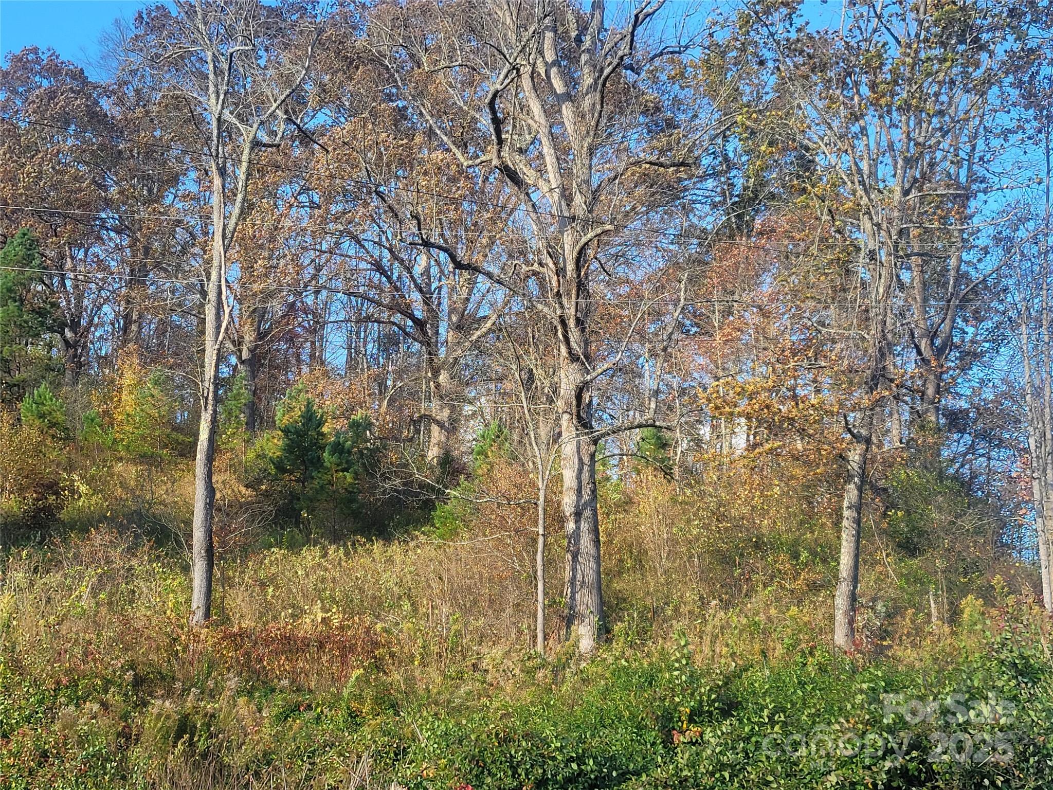 0 Kirkpatrick Cove Clyde, NC 28721 - Photo 14 of 14 a backyard of a house with lots of green space