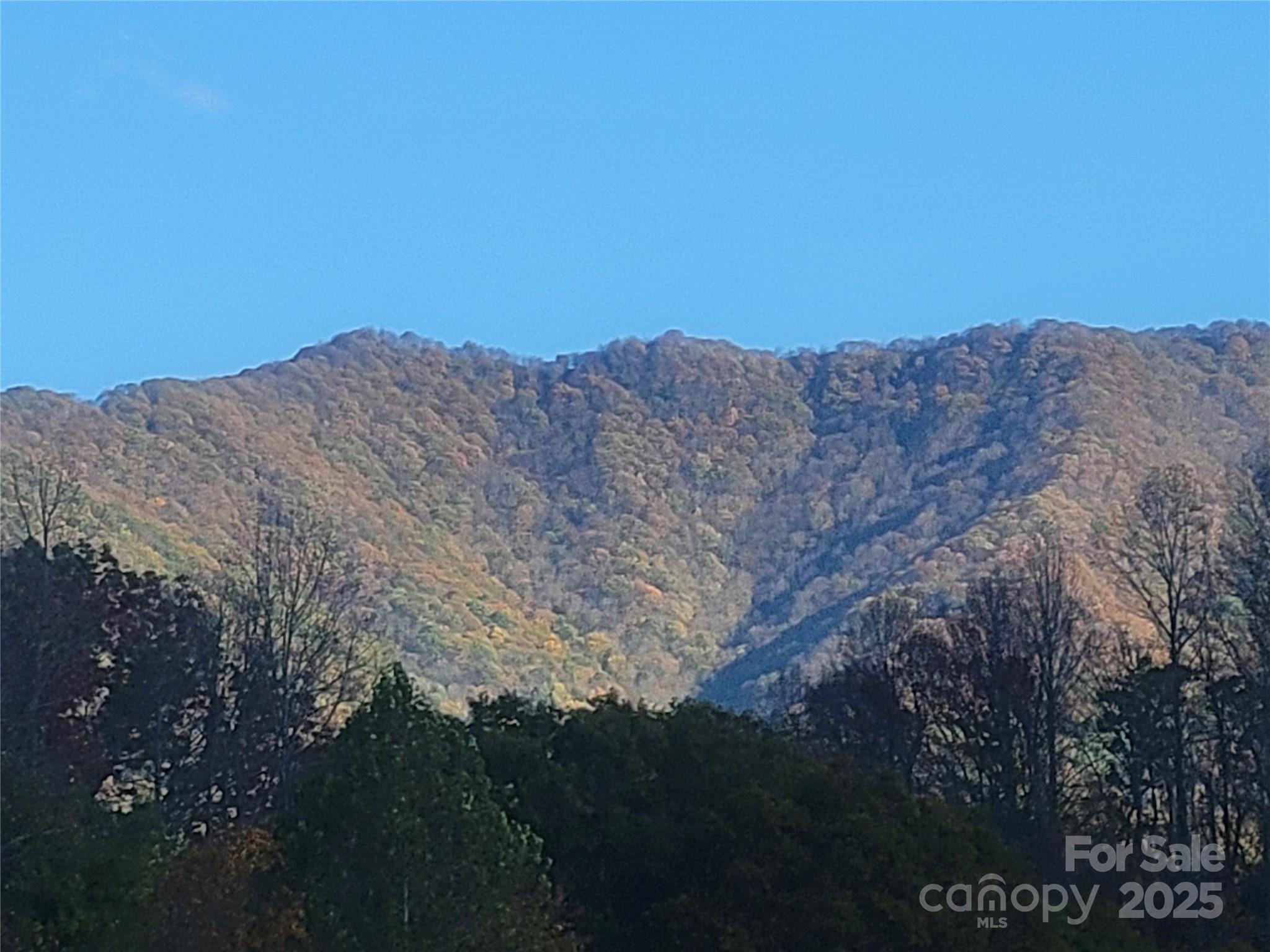 0 Kirkpatrick Cove Clyde, NC 28721 - Photo 3 of 14 a view of a dry yard with mountains in the background