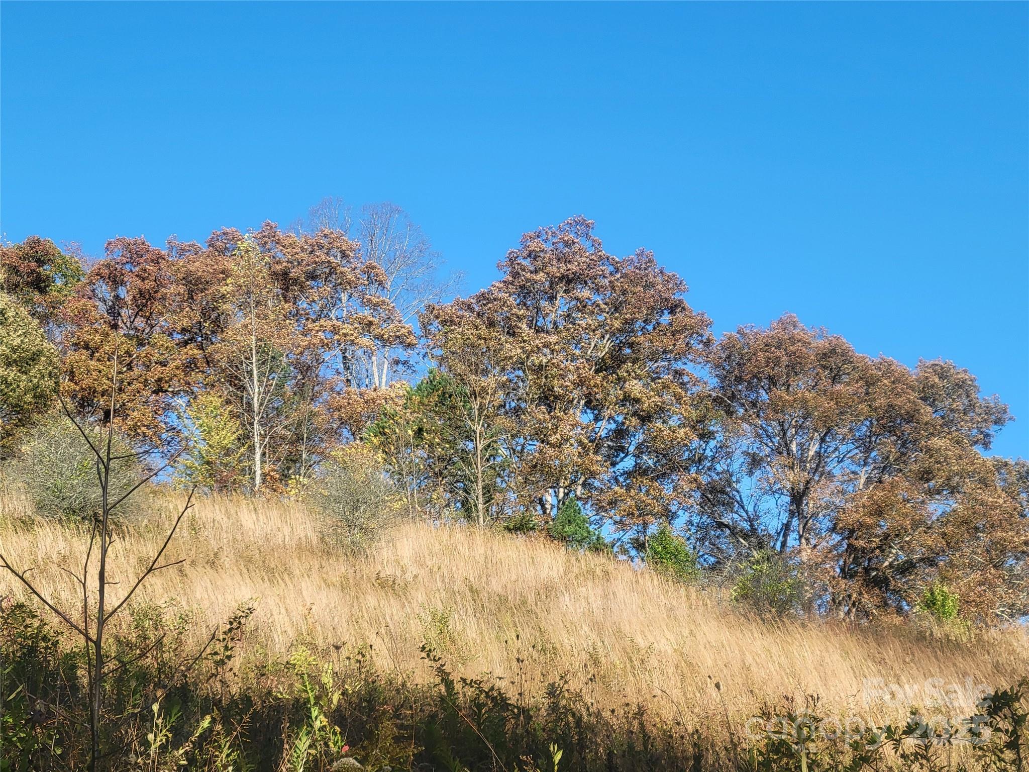 0 Kirkpatrick Cove Clyde, NC 28721 - Photo 5 of 14