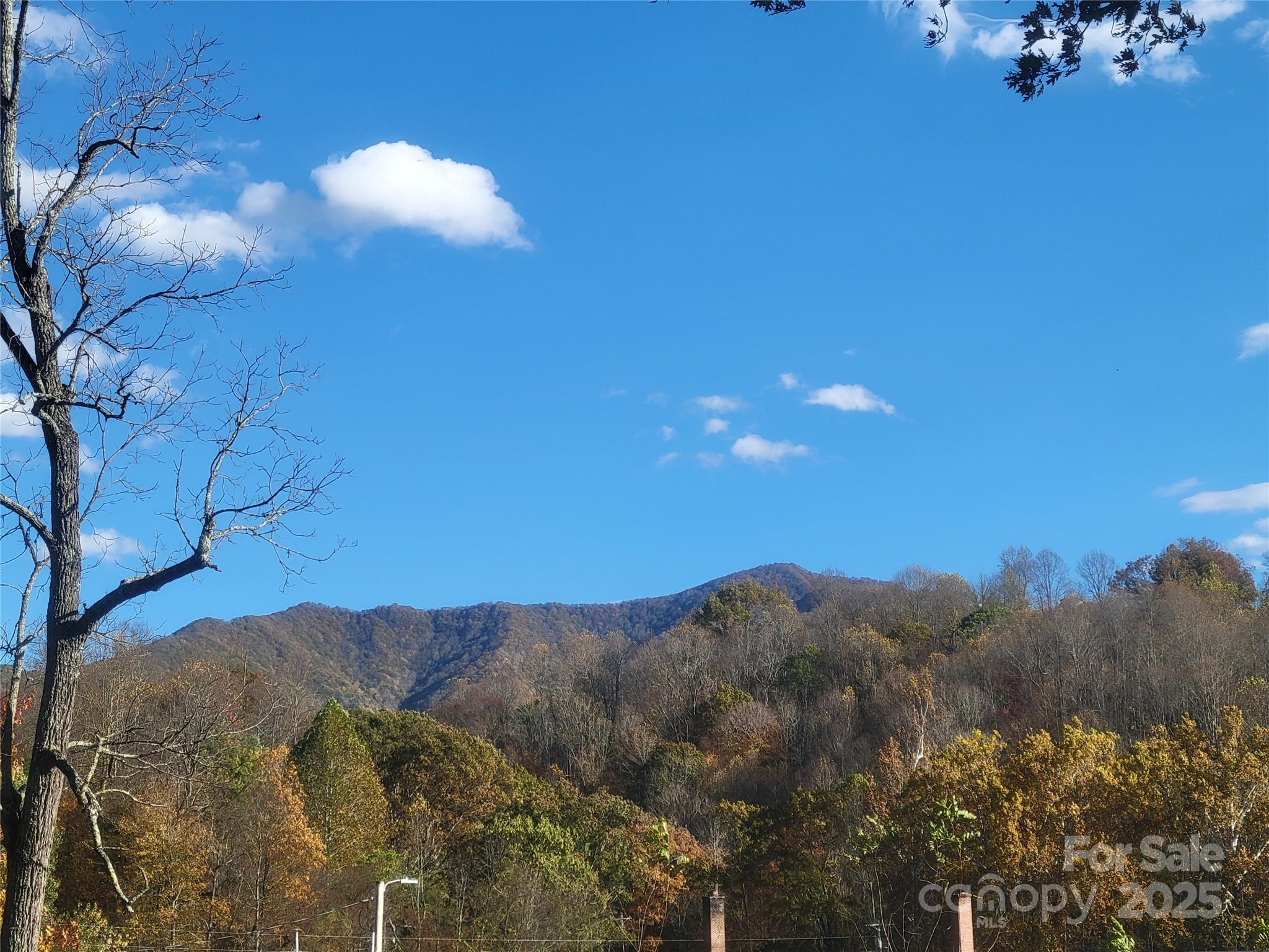 0 Kirkpatrick Cove Clyde, NC 28721 - Photo 6 of 14 a view of a yard