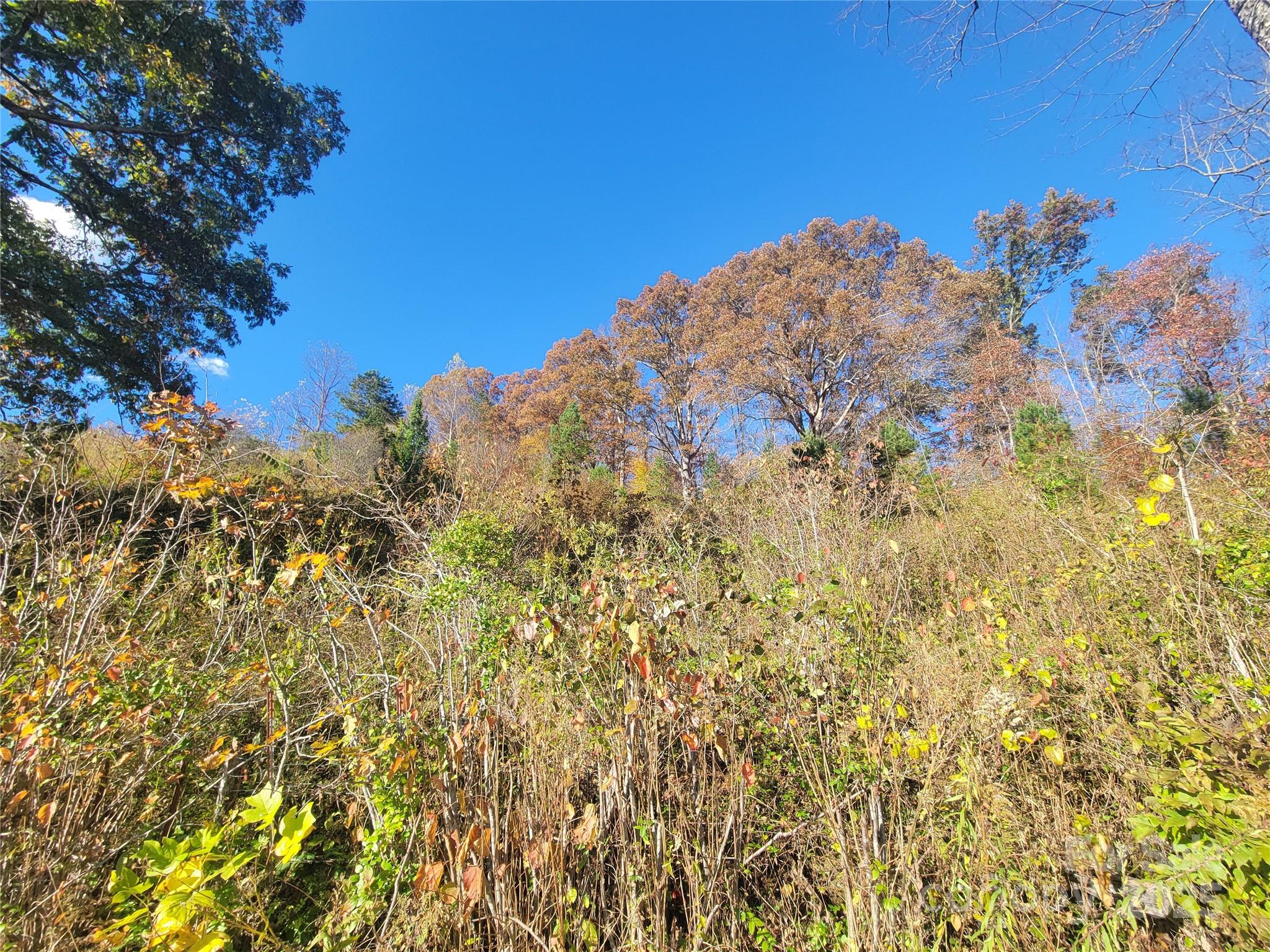 0 Kirkpatrick Cove Clyde, NC 28721 - Photo 7 of 14