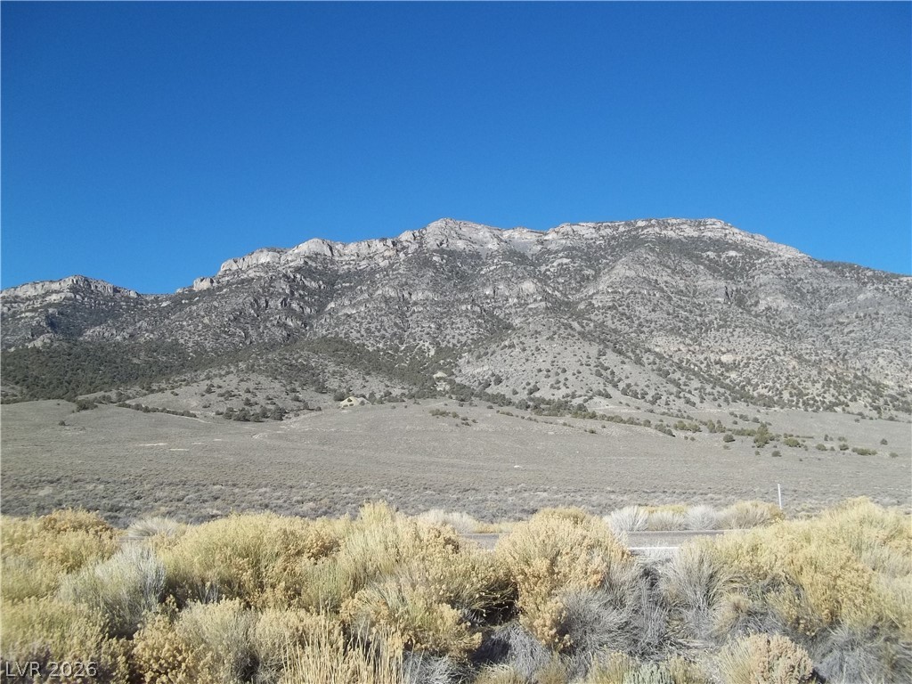 5 Acres In Newark Valley Ely, NV 89301 - Photo 1 of 9 Gallery Image 1