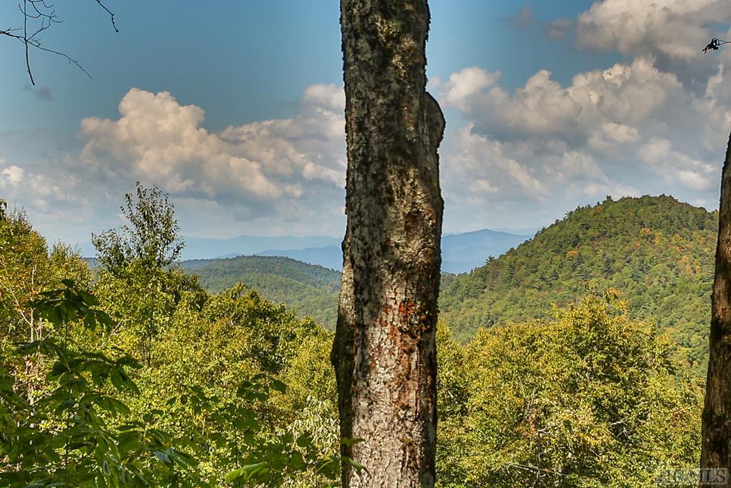 843 Kettle Rock Road Highlands, NC 28741 - Photo 10 of 57 Gallery Image 10