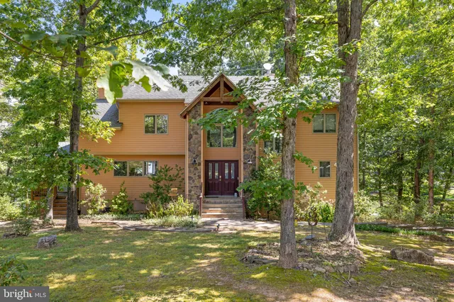 a view of a park with large trees
