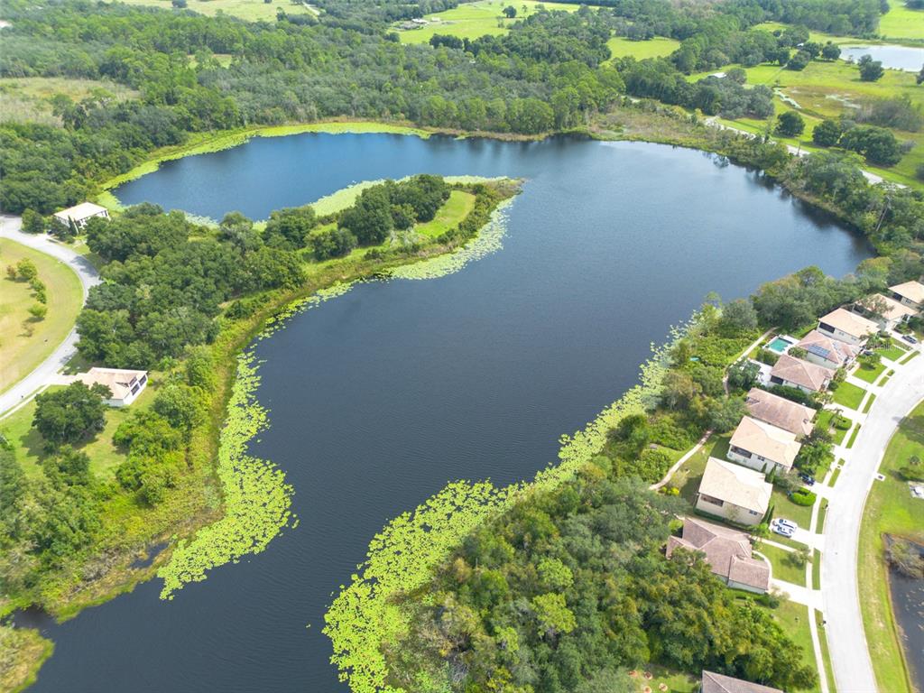 3613 Azurite Court DeLand, FL 32724 - Photo 11 of 20 a view of a lake with a lake in the background