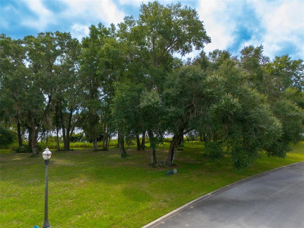 3613 Azurite Court DeLand, FL 32724 - Photo 15 of 20 a park with lots of trees and plants
