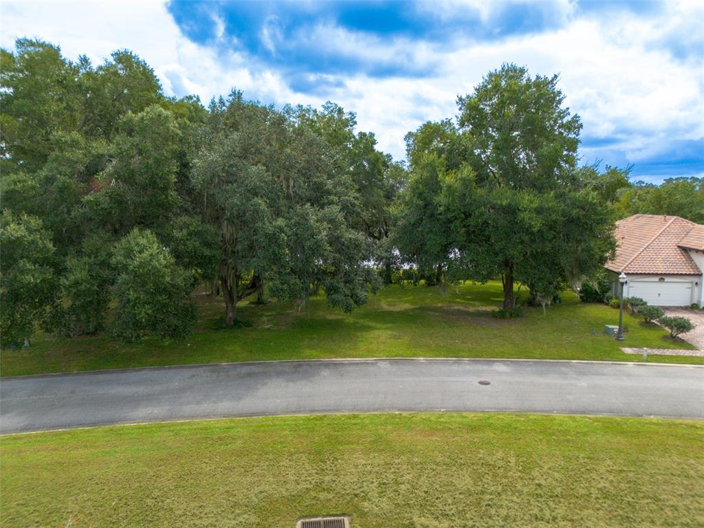 3613 Azurite Court DeLand, FL 32724 - Photo 16 of 20 a view of a yard