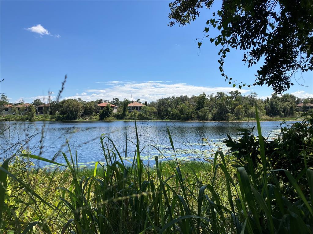 3613 Azurite Court DeLand, FL 32724 - Photo 3 of 20 a view of a lake with outdoor space