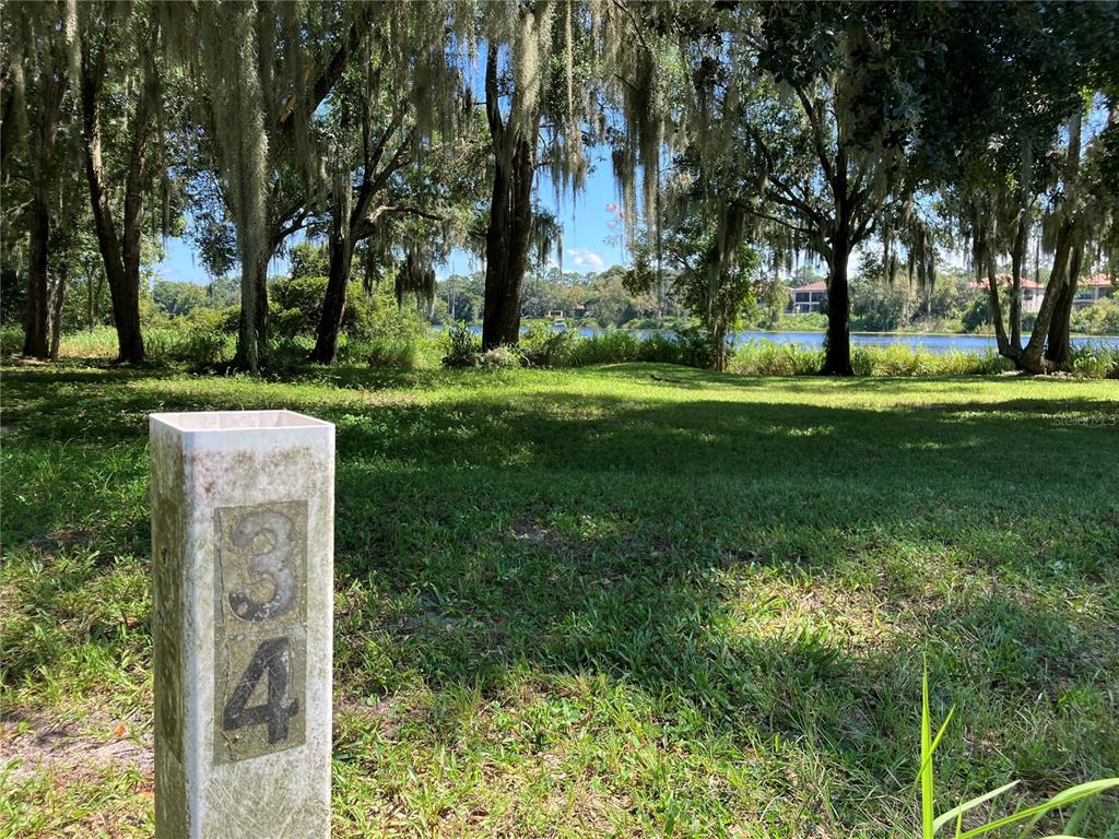 3613 Azurite Court DeLand, FL 32724 - Photo 4 of 20 a garden view