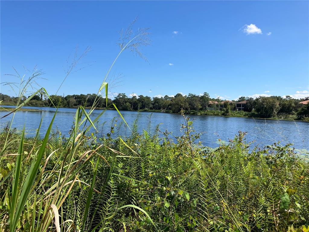3613 Azurite Court DeLand, FL 32724 - Photo 5 of 20 a view of a lake with houses in background