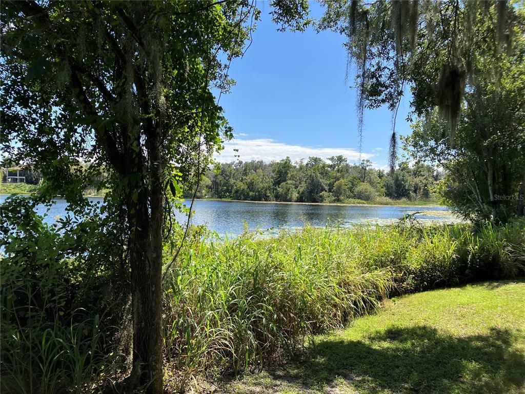 3613 Azurite Court DeLand, FL 32724 - Photo 6 of 20 a view of a water pond with green yard