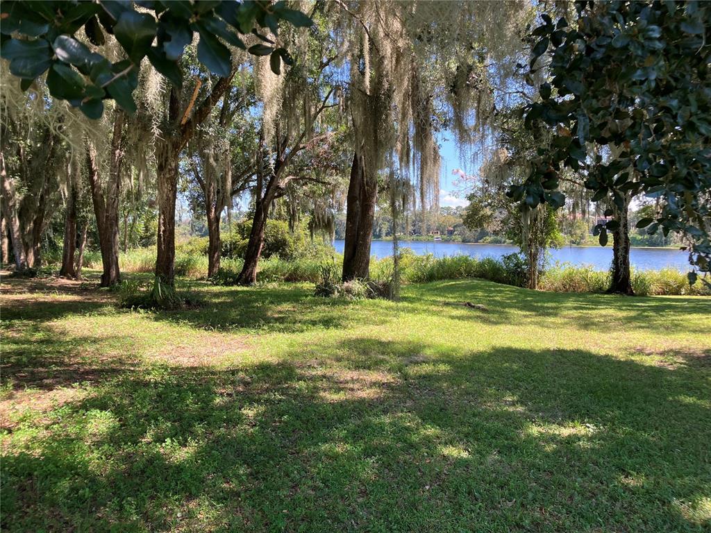 3613 Azurite Court DeLand, FL 32724 - Photo 7 of 20 a swimming pool with trees in the background