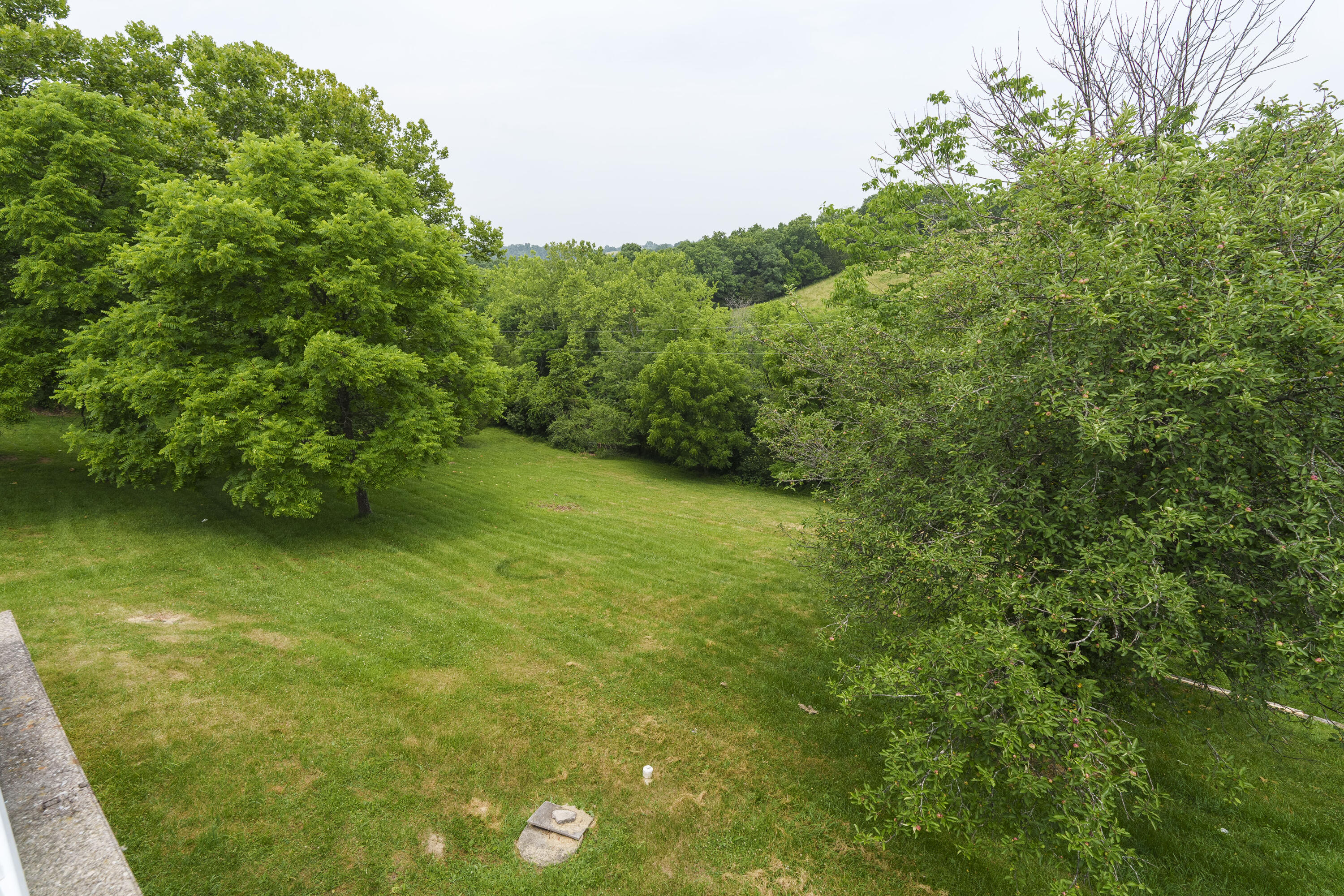 1096 Siry Road California, KY 41007 - Photo 14 of 34 Gallery Image 14