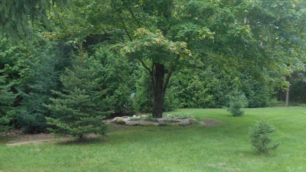 1551 Troyer Road Fairview, MI 48621 - Photo 5 of 31 Gallery Image 5