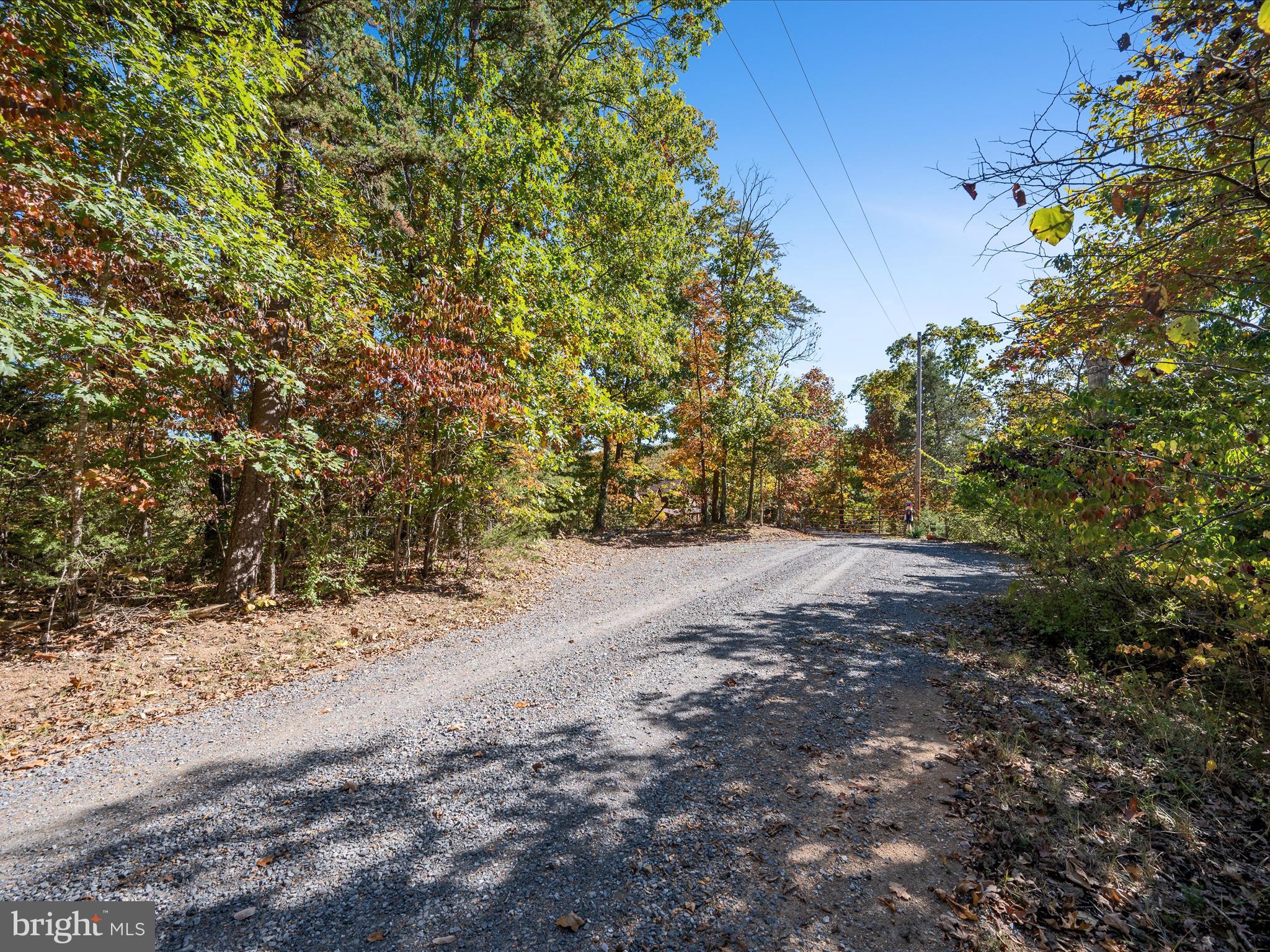 0 River Ridge Drive Middletown, VA 22645 - Photo 19 of 33 a view of a yard with a tree