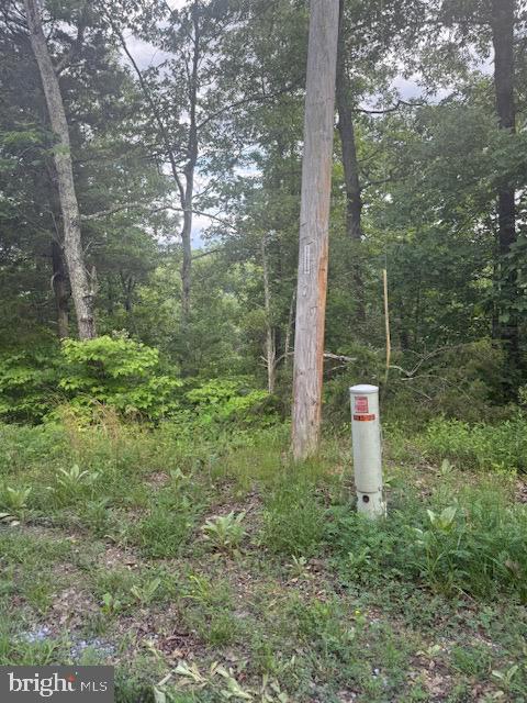 0 River Ridge Drive Middletown, VA 22645 - Photo 21 of 33