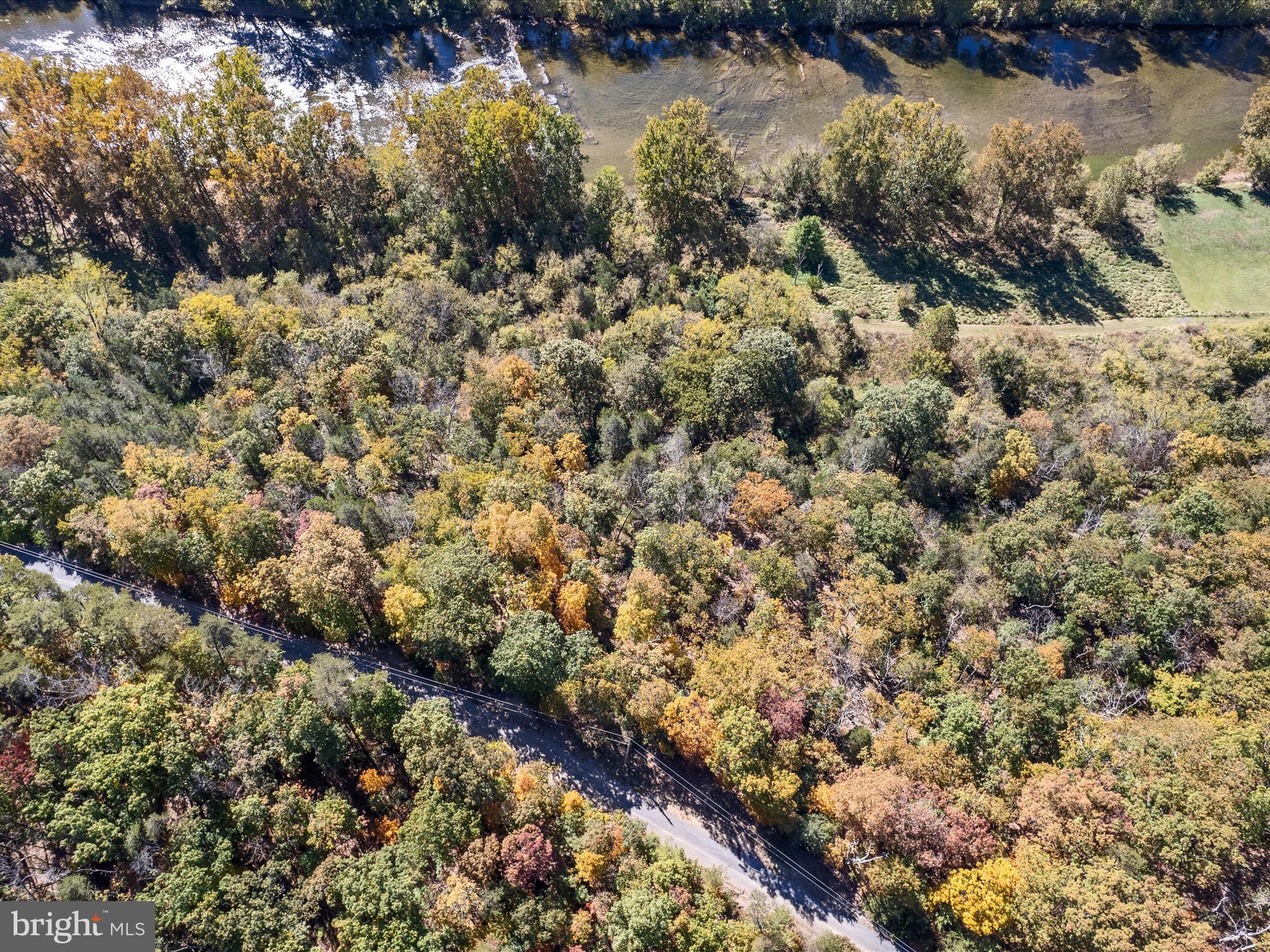 0 River Ridge Drive Middletown, VA 22645 - Photo 23 of 33 a view of a lake with a tree