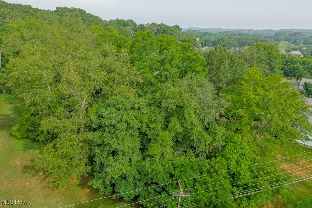 Wales Road Northeast Massillon, OH 44646 - Photo 6 of 6 Gallery Image 6