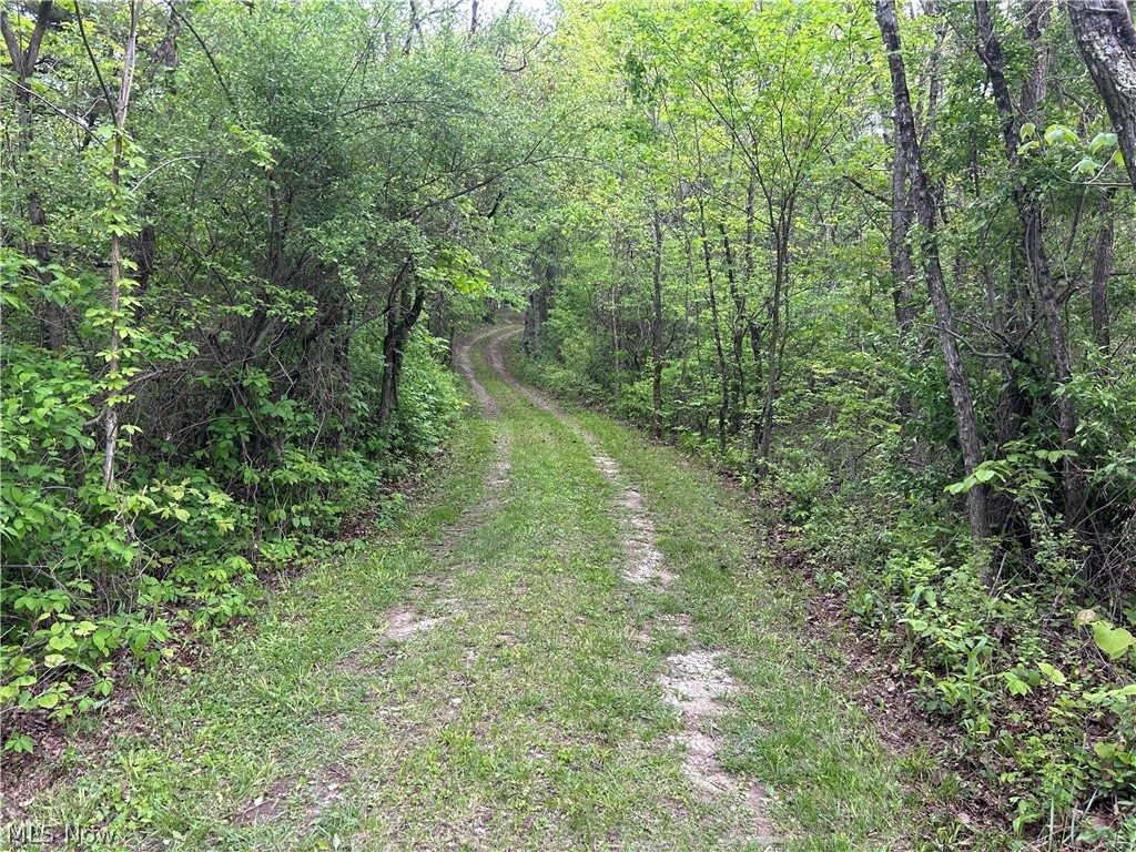 38975 Ogles Ridge Road Dexter City, OH 45727 - Photo 38 of 42