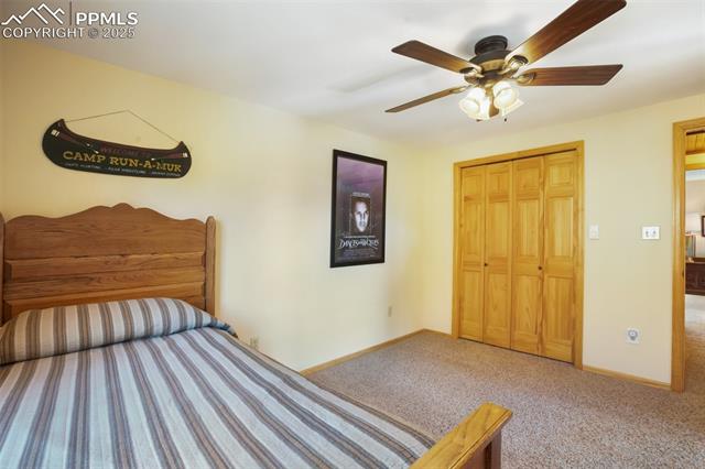 204 Kutsu Ridge Road Florissant, CO 80816 - Photo 19 of 29