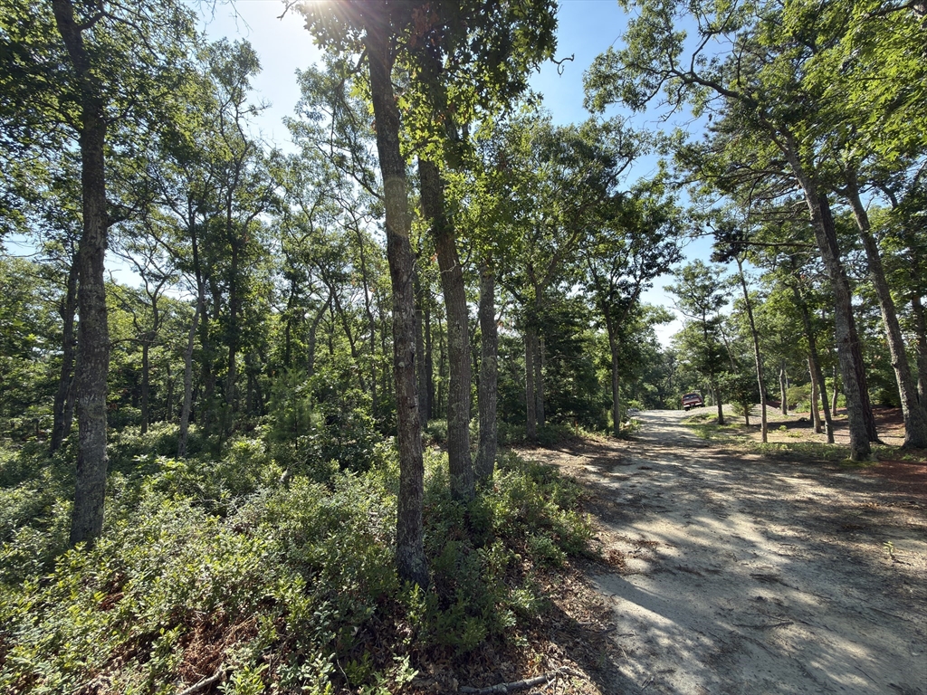 202 Ashumet Road Falmouth, MA 02536 - Photo 23 of 28 Gallery Image 23