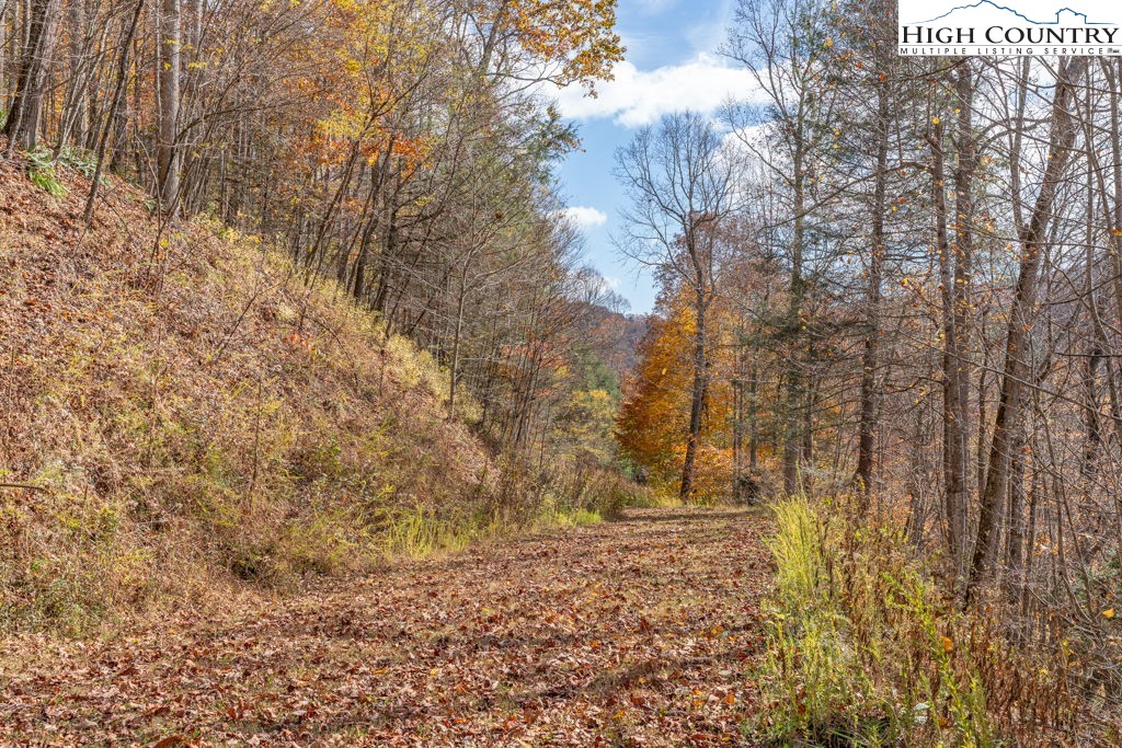 Mill Hill Sugar Grove, NC 28679 - Photo 12 of 36 a view of empty room