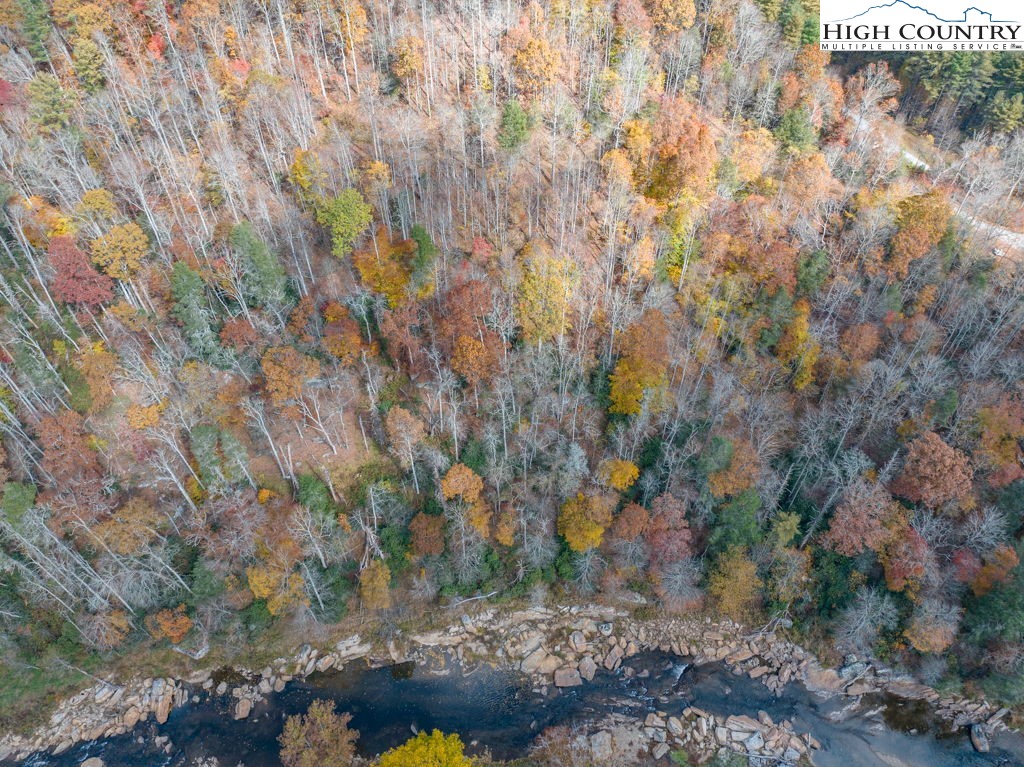 Mill Hill Sugar Grove, NC 28679 - Photo 4 of 36 a view of a yard with lots of bushes