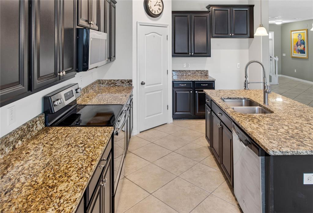 13415 White Sapphire Road Riverview, FL 33579 - Photo 17 of 96